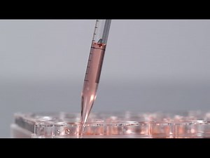 3D Cell Culturing: Taking advantage of recent advances