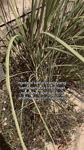 Ngobrol Sama Orang yang Sama-Sama Excited: Another Level of Happiness