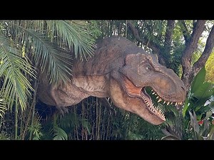 3D RIDE Experience | Full Ride SKULL ISLAND REIGN OF KONG Universal Island Of Adventure |