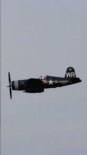 F4U Corsair Low & Fast Flyby | WWII Warbird Pass #warbirds #f4u #aviation #airplane #fighterpilot