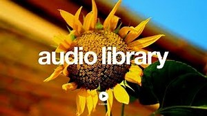 Sunflower – Topher Mohr and Alex Elena (No Copyright Music) Chords - ChordU