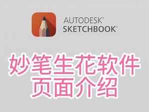 skb文件如何用妙笔生花打开