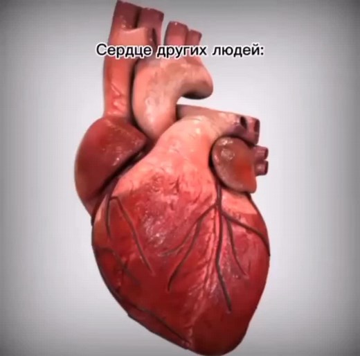 kbronnikov57 on TikTok