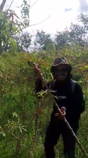 di Preng Aya oray meni Kot ngorejst Kitu si Abah duuhhh🤣🤣 #vypin #sunda ‪@Zurangtampingzt‬