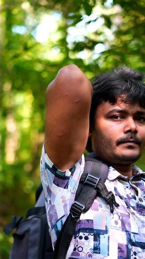 ODOMOS Ne MOSQUITO Se Bacha Liya