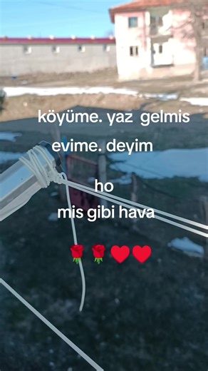 ♥️ Sivas li🌹5858 (@www.com.hasretkaldimyazl) adlı kullanıcının Anatolia Sound - orijinal ses - Anatolia Sound ile oluşturduğu videoları