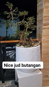 Mercy Dante Bungabong on Reels