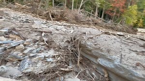 Archery Tag on Reels