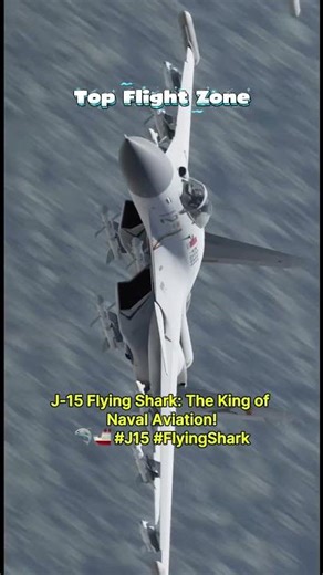 J-15 Flying Shark: The King of Naval Aviation! 🦈🚢 #J15 #FlyingShark #FlankerD