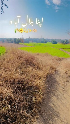 اپنا اپنا گاو ںبتاؤ سب 🌾💬🤦‍♂️🌾🌾#چکوال #سنگت_ویڈیو_وائرل_کریسو_آپ_ہیں