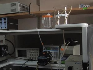 Optical Mapping of Action Potentials and Calcium Transients in the Mouse Heart