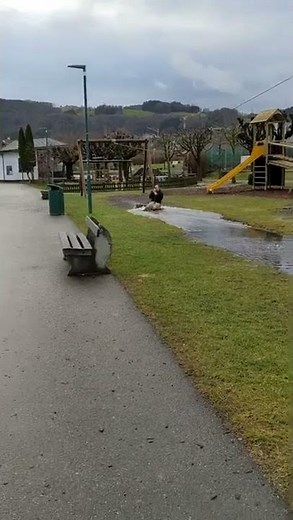 Man Ends Up Getting His Pants Wet in Puddle While Ziplining - 1321891