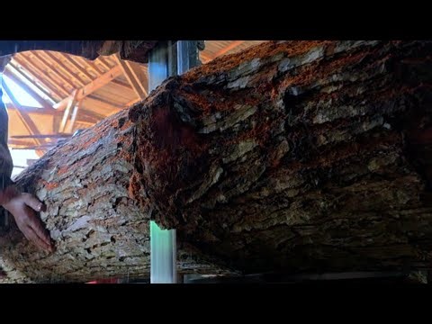 Inside America's Oldest Sawmill: From Forest to Lumber #woodworking