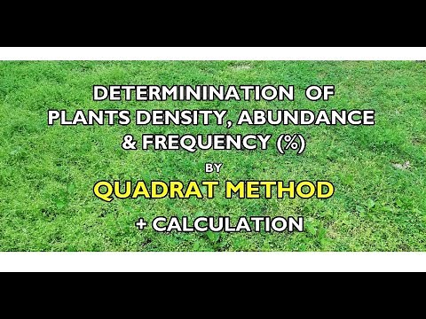 Determination of Plants Density, Abundance and Frequency using Quadrats Method (Practical)