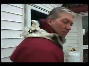 National Geographic Wild Chronicles : Grey Seals