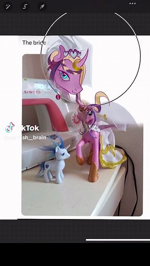 Shining Armor and Cadence Wedding Memes Explained