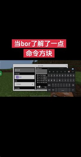 当bor了解了一些命令方块……#我的世界 #命令方块 #TNT #美国