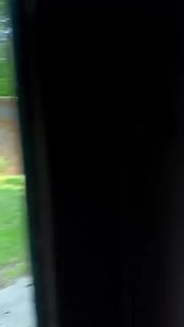 10K views · 155 reactions | Gorillas at the Dallas Zoo not playing today | Dallas Texas TV | Facebook