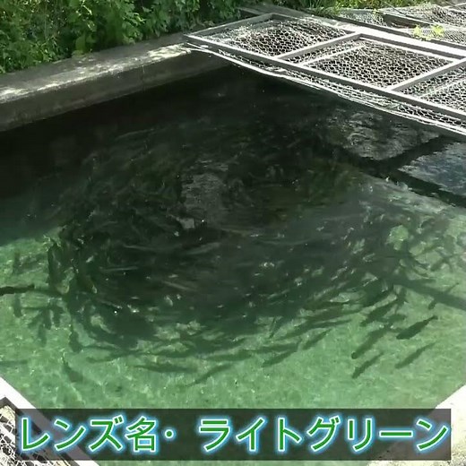 偏光サングラスの世界#fishing #lure #MUKAI #SCIENCE #ZANMU #KOMAYA #TROUT #DRAG #ルアーフィッシング #偏光サングラス #釣り