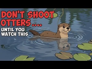 🚨🦦🚫Otter Abatement - Ask The Boss