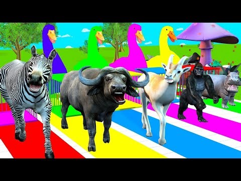 Long Slide Game With Cow Elephant Gorilla Hippopotamus Tiger - 3d Animal Game - 3d Animals World