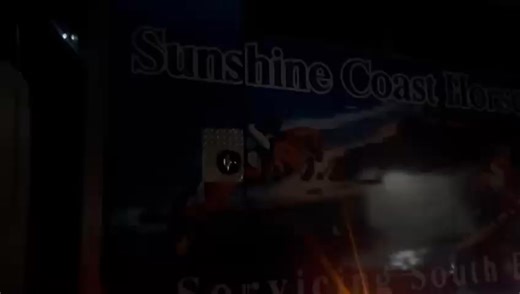 Best of luck to Philia on her trip to Victoria for Vandyke Racing, we hope she enjoyed her flight! ✈️ | Sunshine Coast Horse Transport