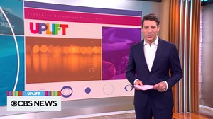 The Uplift: A cat cafe and forming friendships