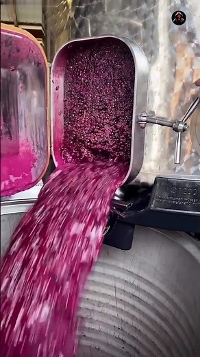 Secret of wine making process