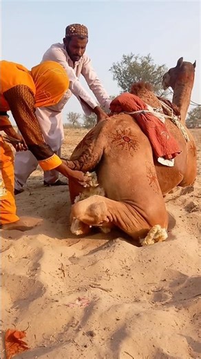 فتاة مجتهدة تعتني بجملها بحب واهتمام