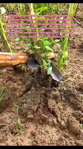 Clean Your Garden in Seconds 🌱 Ultimate Root Puller Hack #tools #tips #tricks #how #garden ##farming