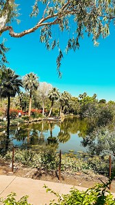 🙌 Labor Day Sale on the Phoenix Pogo Pass! Use either one of our codes to get 50% plus $5 off! Hurry the sale ends on September 2nd🏃‍♀️ Code: azfamilyguide Or Code: arizonamommies Or comment “Pogo” and I’ll send you a direct link! One pass, one price, one year of fun! 🤩 Your PogoPass includes: 🐍⚾️ Arizona Diamondbacks - 2 home games 🏈 Arizona Rattlers - 3 home games 🏀 Phoenix Mercury - 4 home games 🌞 Multiple Arizona State university home games ☀️ 💦 Sunsplash - 1 visit 🦁🐯🐸🐮🐷🦒 Phoen