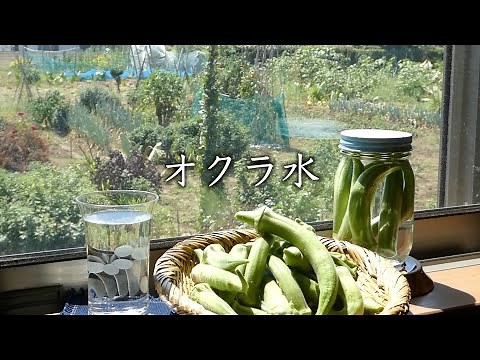 【オクラ水の作り方】 オクラ水の効果 ネバネバで夏バテ防止 [How to make okra water]
