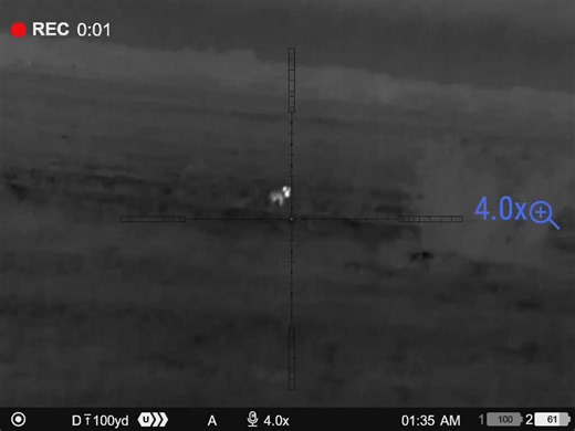 Best Game Calls for Hunting Success