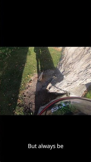 Tree felling. Always be prepared to take off if you have to! #tree #felling #work #chainsaw #gopro