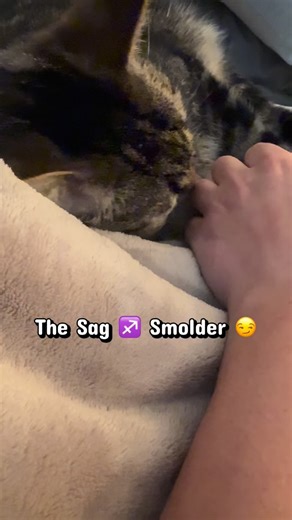 Astrology, witchcraft + real talk with Ember and Jordan on Instagram: "This smolder was brought to you by the planet Jupiter aka the ruler of Sagittarius aka expansive, unbothered, and forever confident in his catty ways. ♐️🔥 Gotta love Cedric which is this cats given birth name. Jordan and I are excited to bring you a great overview of the houses!! So grab your Astro chart and follow along, or just listen to get to know this essential part of a birth chart! Make sure you check it out wherever 