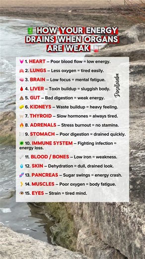 🧠 Your organs are your body’s power stations. When one weakens, your whole system runs on low battery. #EnergyDrain #BodySignals #OrganHealth #alwaystired #WellnessFacts #HealthAwareness #fblifestyle | Dioselle Iniba