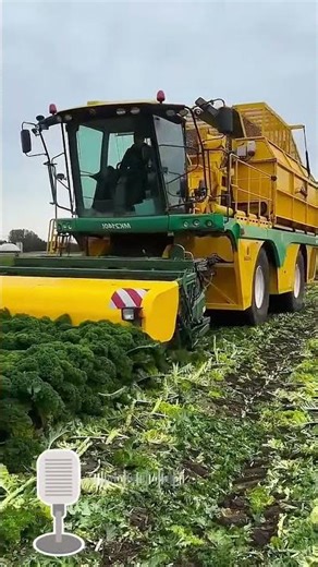 Mesin ini adalah Ploeger MK2140L/Oxbo MK2140L #technology #info #short