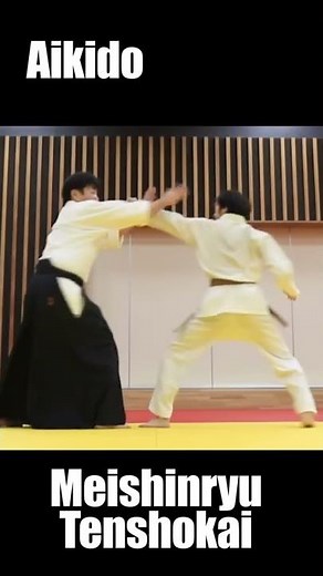 Meishinryu, the Aikido from Steven Seagal