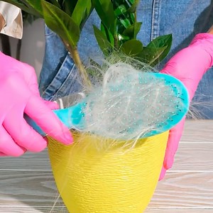 464K views · 1.9K reactions | ASTUCES BRILLANTES & BON MARCHÉ POUR LES PLANTES AFIN D'AVOIR UN JARDIN FLEURI !: | Brico Sympa | Facebook