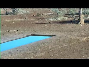 Satara Cam - Kruger National Park
