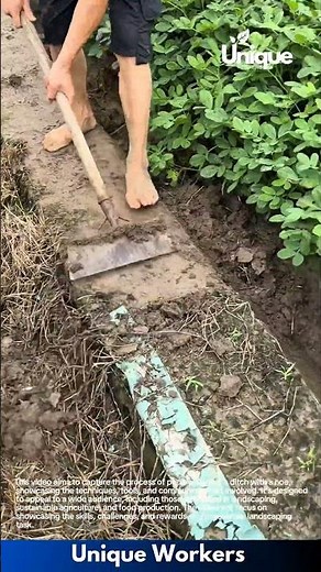 Digging a ditch with a hoe: people digging a ditch with a hoe