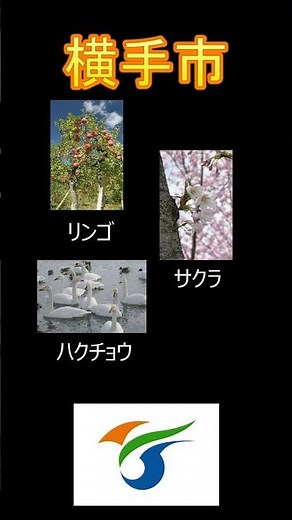 日本の市町村紹介～秋田県横手市～ #秋田 #秋田県 #横手市 #横手 #かまくら
