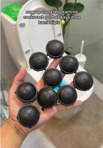 Non-Toxic Cockroach Solutions for Dog Owners