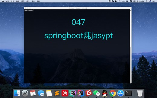 047_springboot炖jasypt