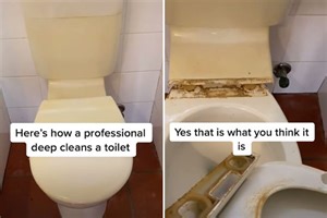 Cleaner reveals hidden part that’s making your toilet smell & how to sort it