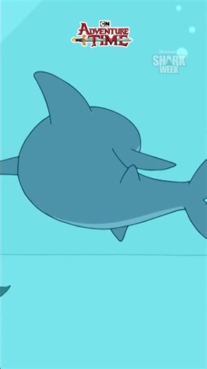 Un requin qui respire 🐱 + 🦈 #SharkWeek #AdventureTime #CartoonNetwork ‪@cartoonnetworkFR‬​