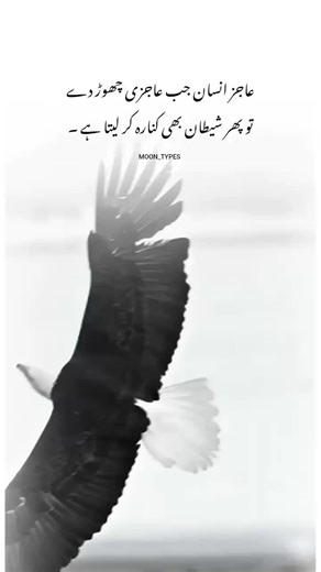 Understanding Different Types of Moons