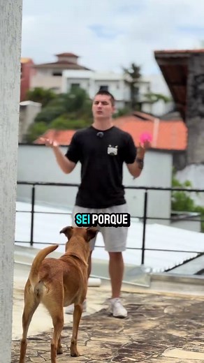 Alistamento Militar Online: Como Funciona no Brasil