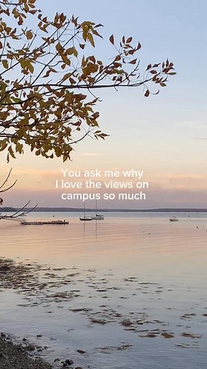 2.2K views · 109 reactions | We couldn’t fit all the beauty of the COA campus into one reel — the audio just wasn’t long enough! ✨ #college #collegecampus #fall #summer | College of the Atlantic | Facebook