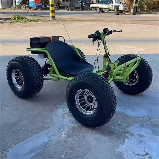 Premium Lithium Battery Electric Go Kart 1000W 48V 20A for Backyard Track Racing and Outdoor Adventure Fast Eco-Friendly Ride